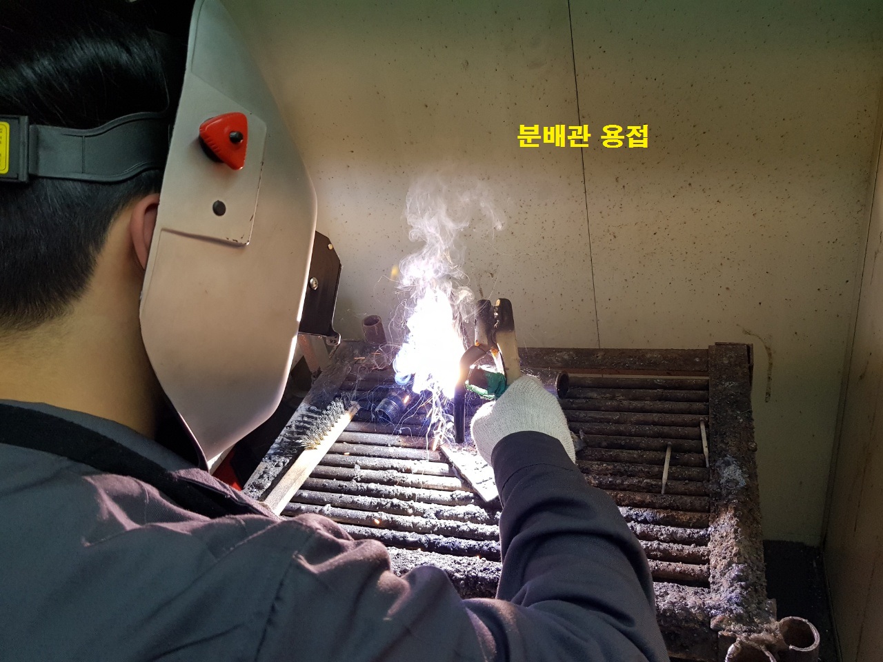 사용자 등록이미지